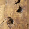Crusoe Teak Tree Root Slice Wall Art Panel
