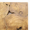 Crusoe Teak Tree Root Slice Wall Art Panel