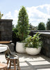 Awatere White Cement Outdoor Planter - Larger 1m