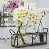 Four Cream Bottles Sitting In A Wire Crate -Decorative Chic for BBQs