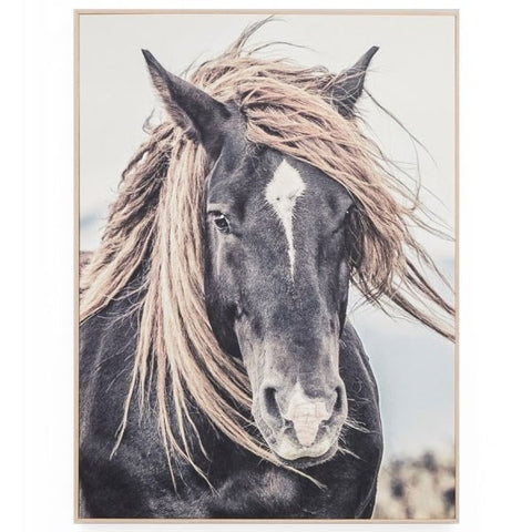 Photographic Lone Mustang Horse 1m Canvas Art Print With Wood Frame