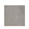 Granite Flamed Outdoor Paver - High Grip Surface