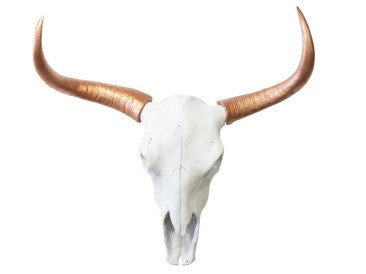 Bull Steer Skull Head Trophy With Horns - Wicked & XL!