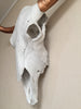 Bull Steer Skull Head Trophy With Horns - Wicked & XL!