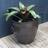 Sahar Lotus Rustic Original Antique Iron Outdoor Planter - Large