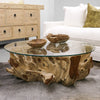 Crusoe Tree Root Round Coffee Table - Modern Rustic Chic Design