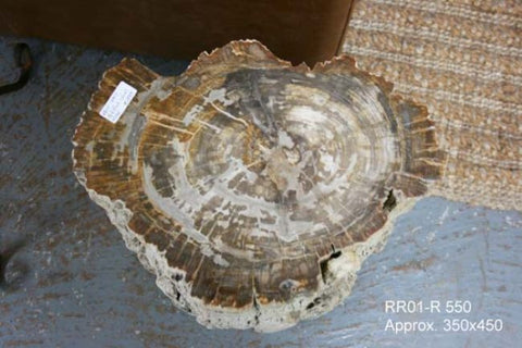 Petrified Wood Fossilised Bedside or Lounge Side Table