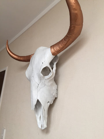 Bull Steer Skull Head Trophy With Horns - Wicked & XL!