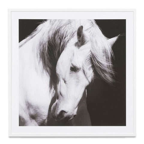 Photographic Majestic Horse Canvas Art Print With Wood Frame