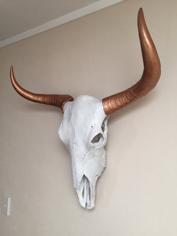 Bull Steer Skull Head Trophy With Horns - Wicked & XL!