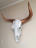 Bull Steer Skull Head Trophy With Horns - Wicked & XL!