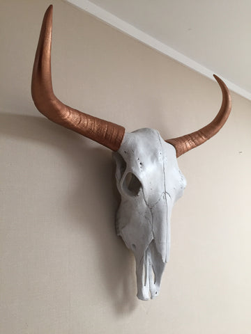 Bull Steer Skull Head Trophy With Horns - Wicked & XL!