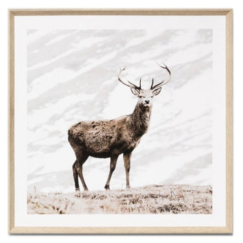 Photographic Winter Deer Canvas Art Print With Wood Frame