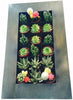 Living Wall XL Metal Plant Pocket Hanging Wall Art