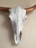 Bull Steer Skull Head Trophy With Horns - Wicked & XL!