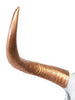 Bull Steer Skull Head Trophy With Horns - Wicked & XL!