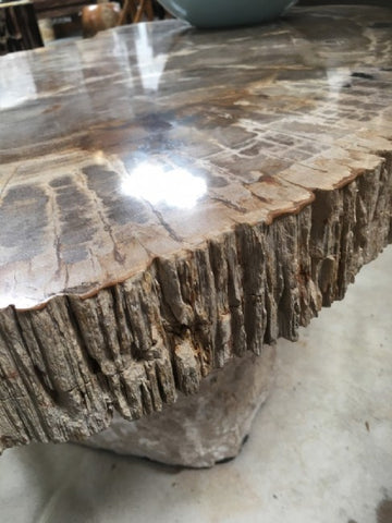 Antique Petrified Wood Coffee Table With Rustic Base