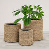 Havana Artesia Indoor Flower Pot Planter Set of Three